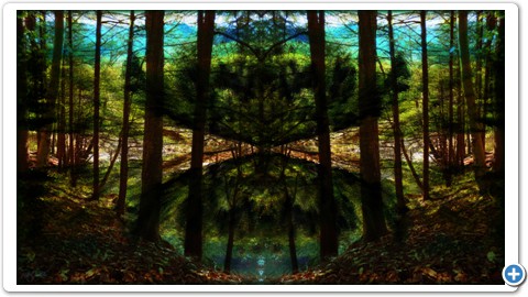VanishingPoint
